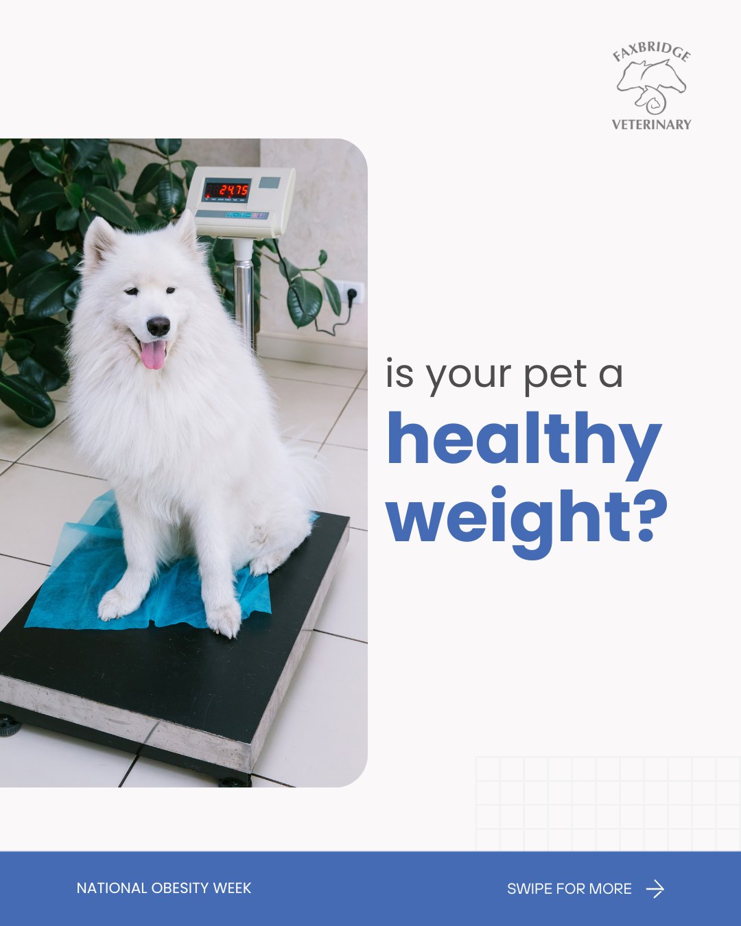 Faxbridge Veterinary added a new... - Faxbridge Veterinary