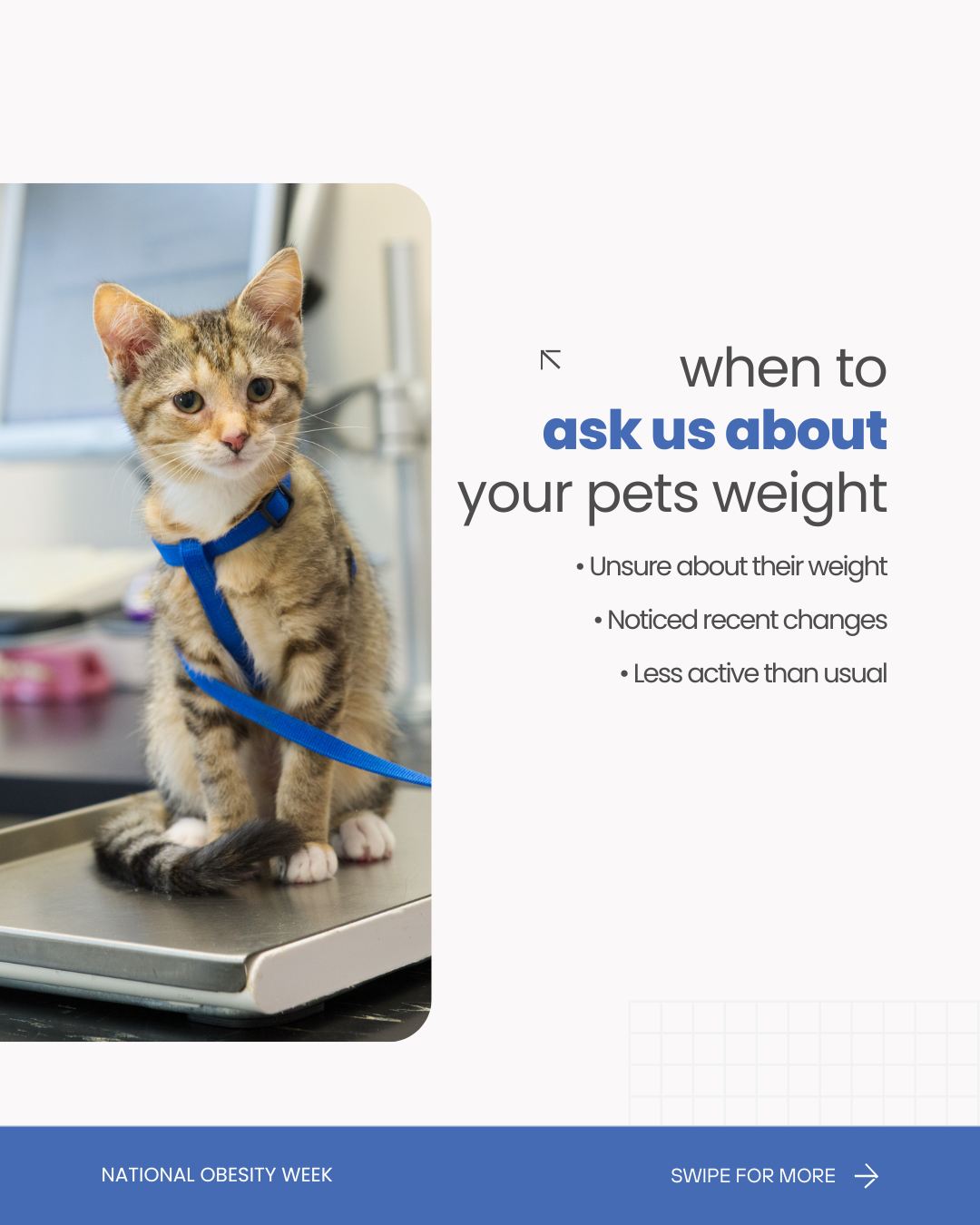 Faxbridge Veterinary added a new... - Faxbridge Veterinary