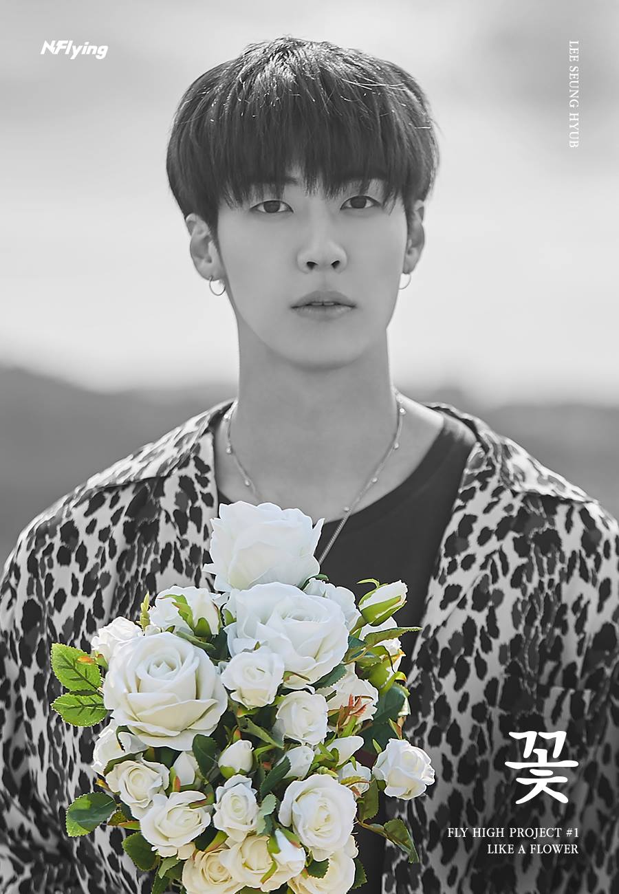 NFlying - N.Flying [FLY HIGH PROJECT #1] Concept Photo... | Facebook
