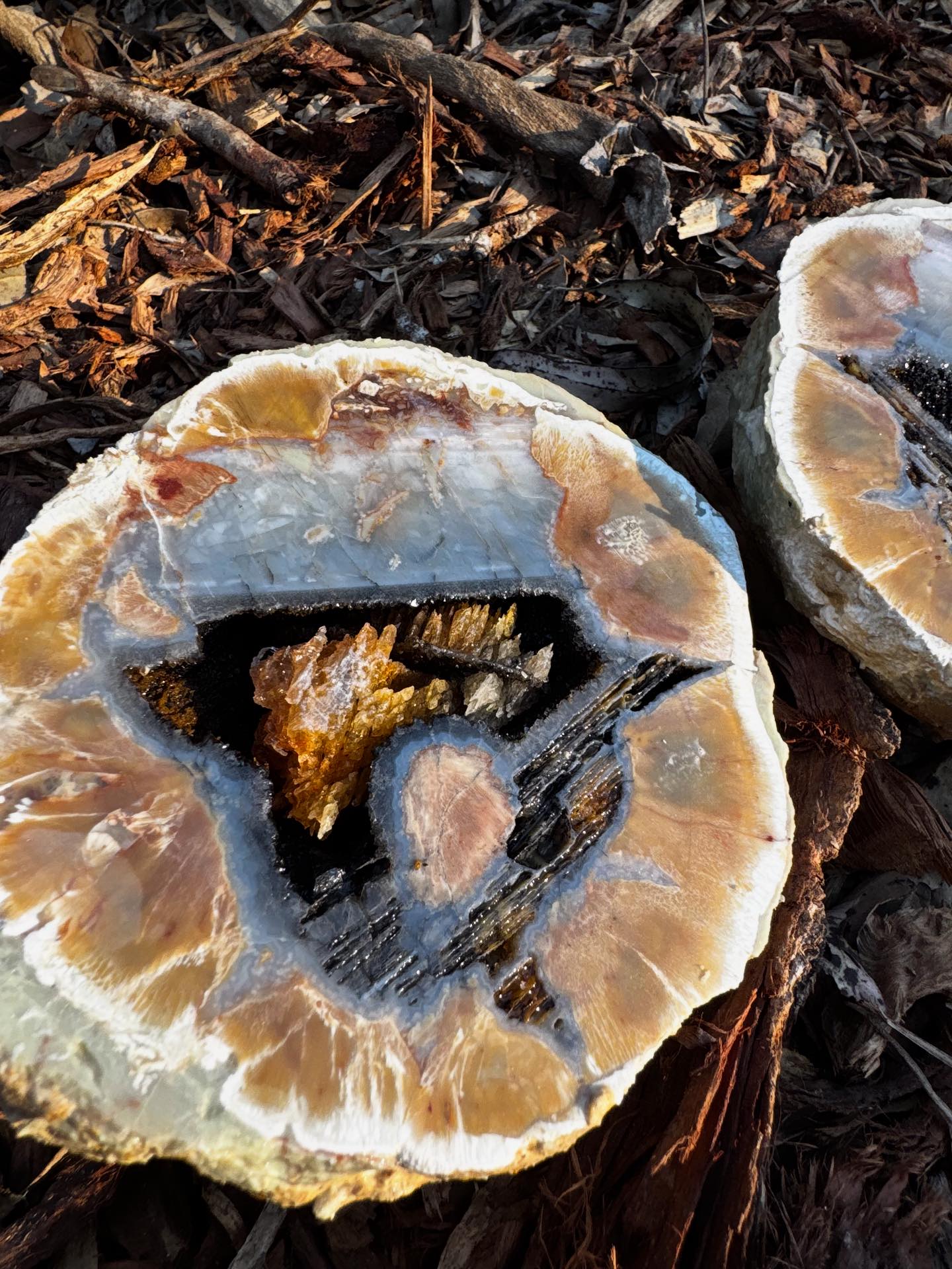 Thunderegg Crystal Mine at Thunderbird Park | Mount Tamborine QLD