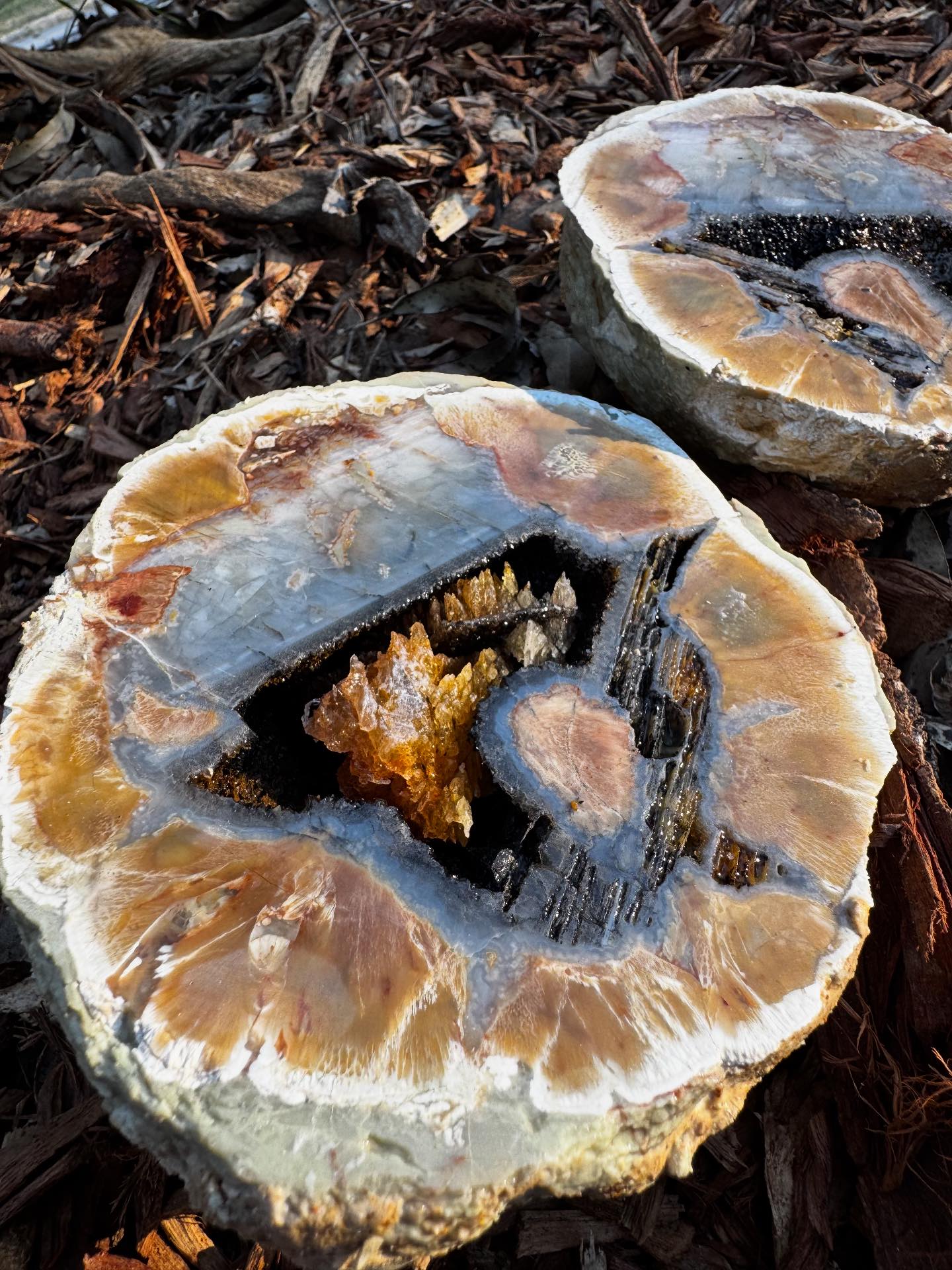 Thunderegg Crystal Mine at Thunderbird Park | Mount Tamborine QLD