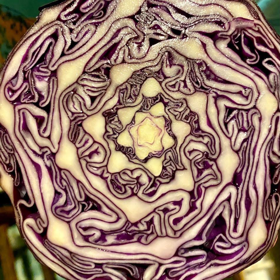 TODAYI IS NATIONAL WELSH RAREBIT... - Gateway Garlic Farms | Facebook