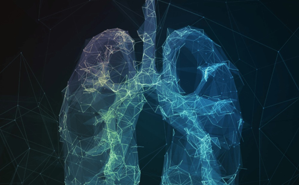 Touch - 🌿 Carbon Footprint of Inhalers: Remedies & Alternatives 🌿 Learn ...