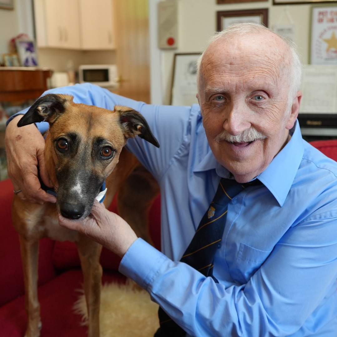 PDSA - For pet owners who live alone, their four-legged... | Facebook