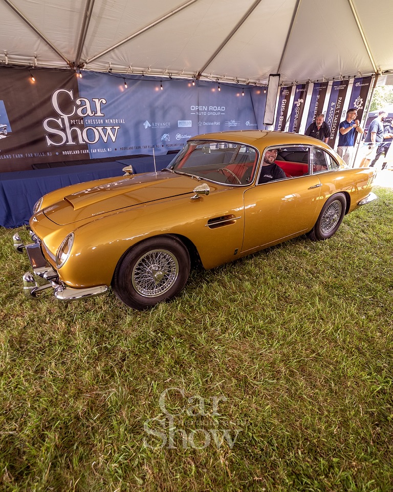 Highlights of our 2024... - Peter Chesson Memorial Car Show | Facebook