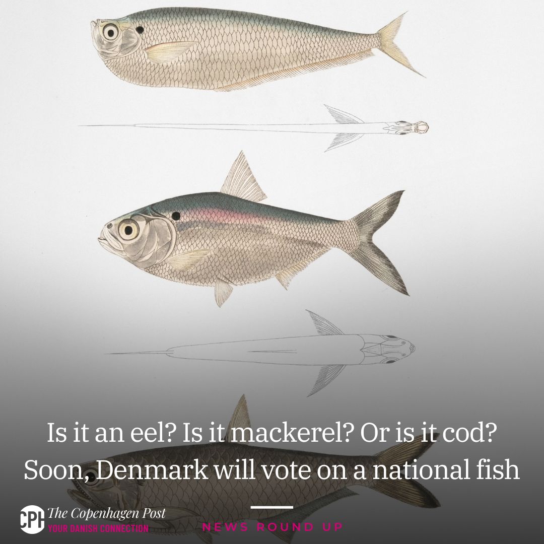According to Denmark's national... - The Copenhagen Post | Facebook