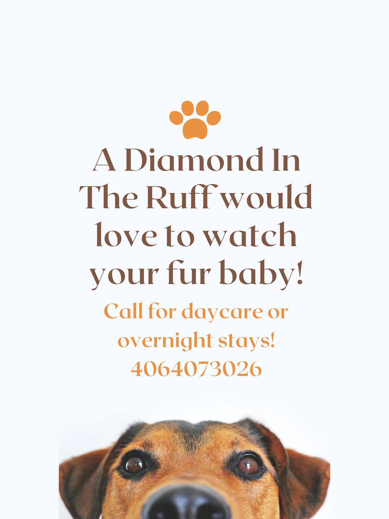 A Diamond in the RUFF | Eureka MT
