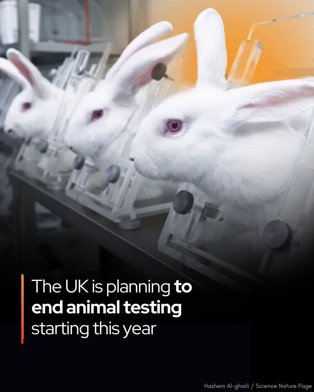 Science Squad | The UK is officially set to END animal testing | Facebook