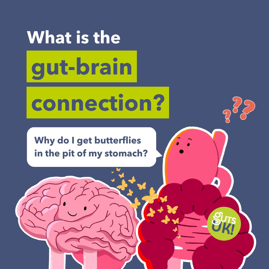 does glutathione give you diarrhea Can Liposomal Cause Diarrhea? Understanding the Potential Side Effects Glutathione for Gut Health: A