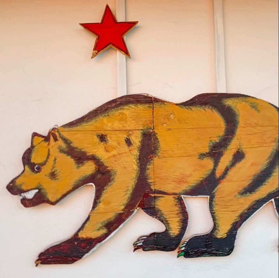 In the heart of Orange, DT Drive-Thru Pizza Truck is flipping the ...