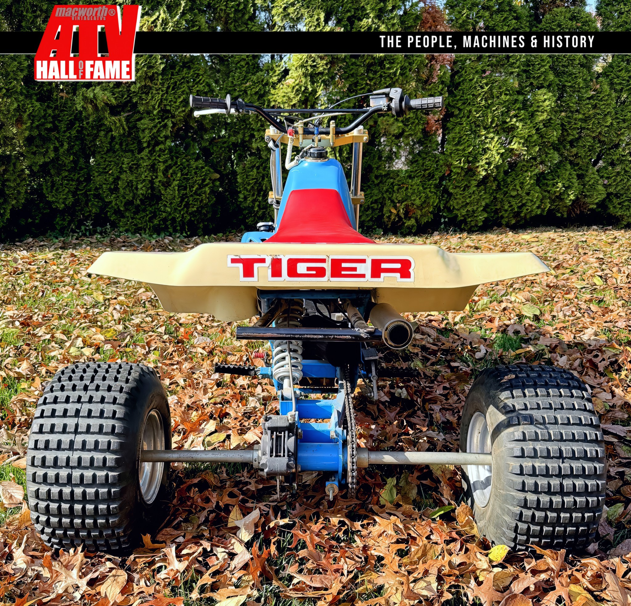 ATV - The business end clearly shows the no frills approach by Tiger ...