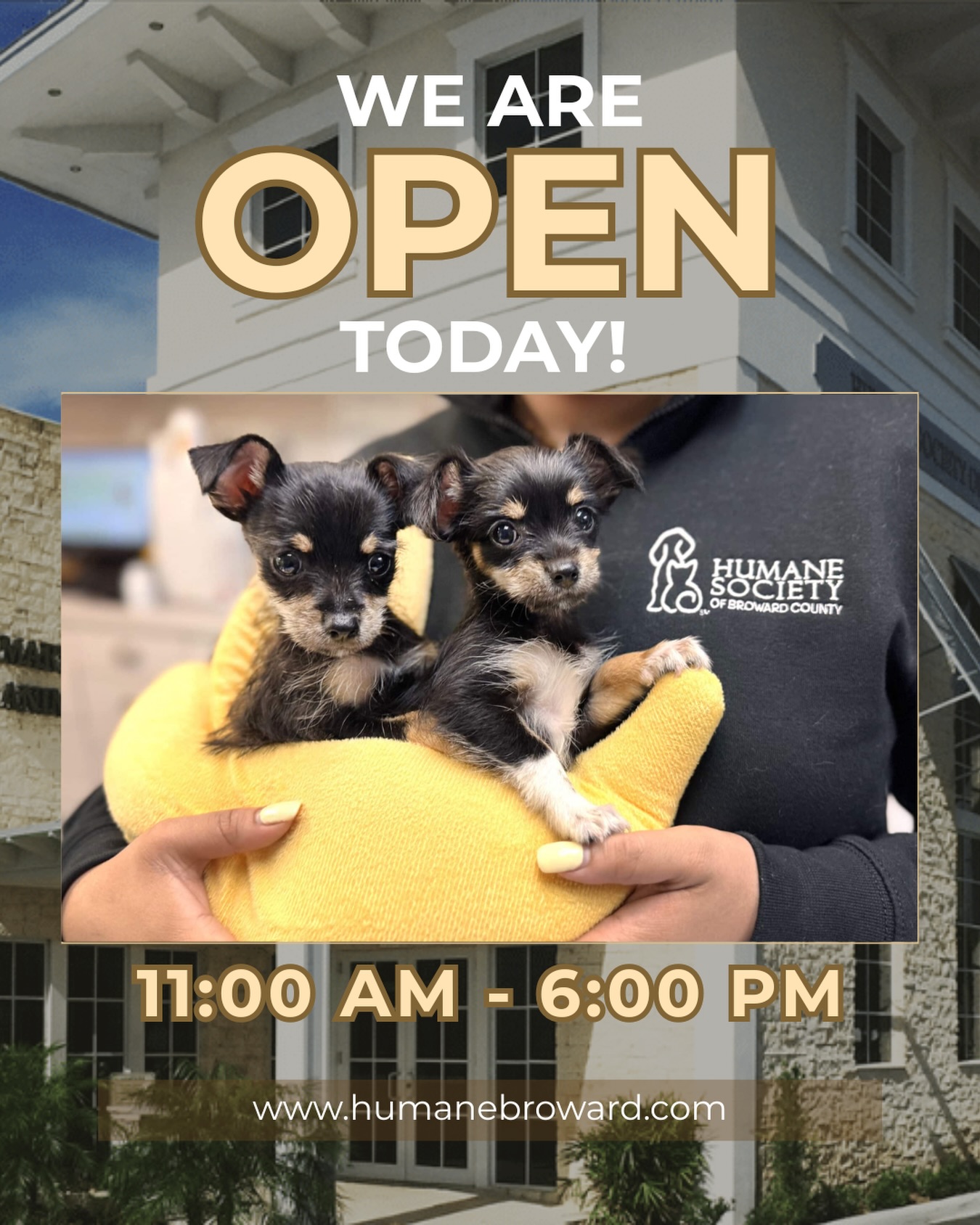 Humane - We’re open today! 🐾 If you’ve been thinking about adopting ...