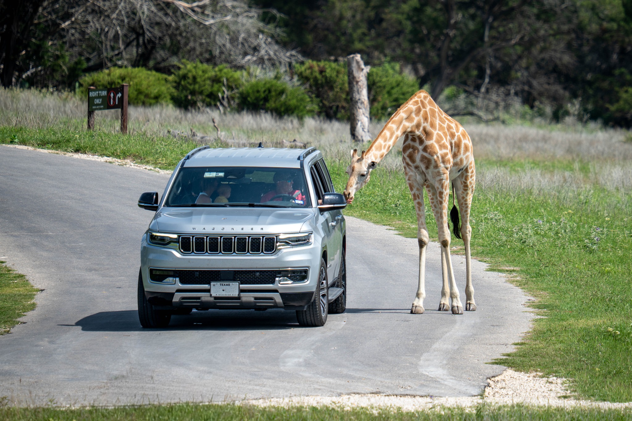 Fossil Rim Wildlife Center | Glen Rose TX