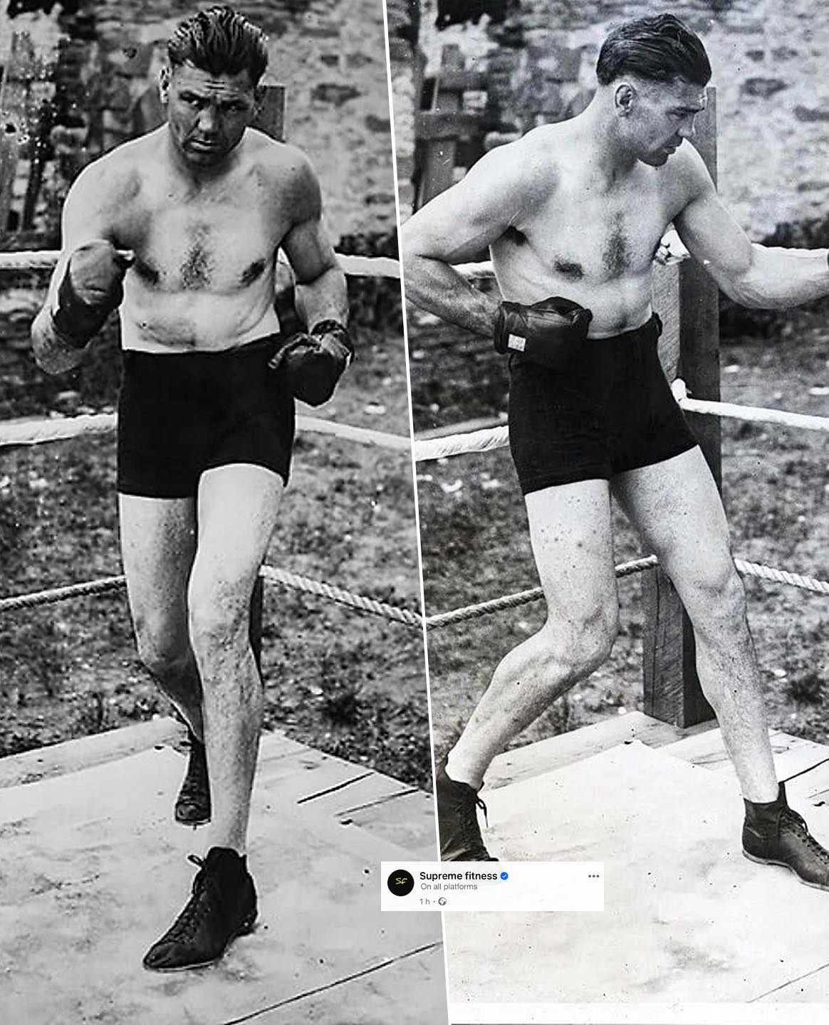 Supreme - 🇺🇸🗣️Jack Dempsey: “Any man fighting for the championship of ...