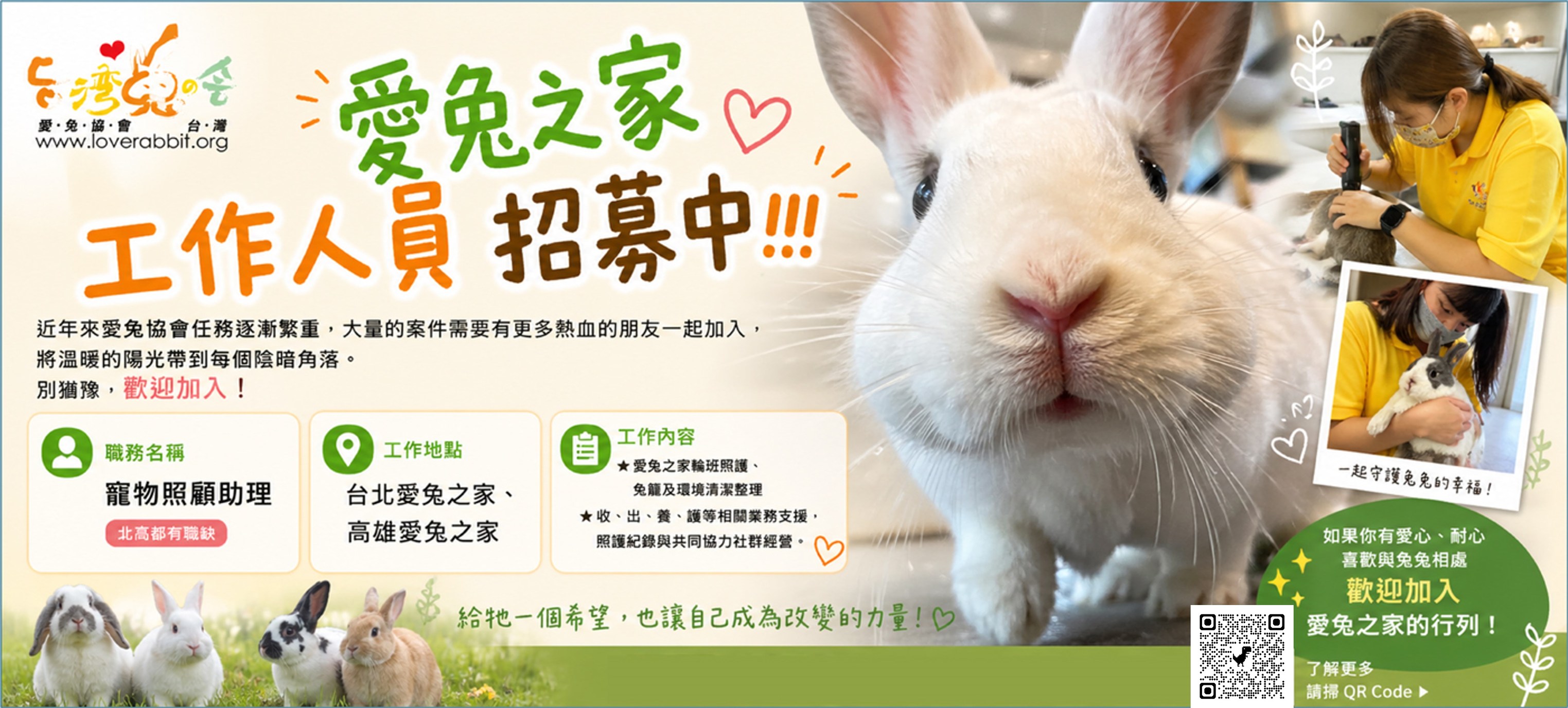 兔協 HKRS -... - 兔協 HKRS - 香港兔友協會 Hong Kong Rabbit Society