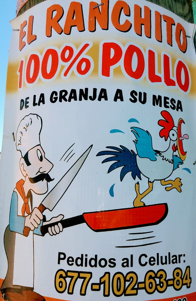 Tortilleria Y Polleria 