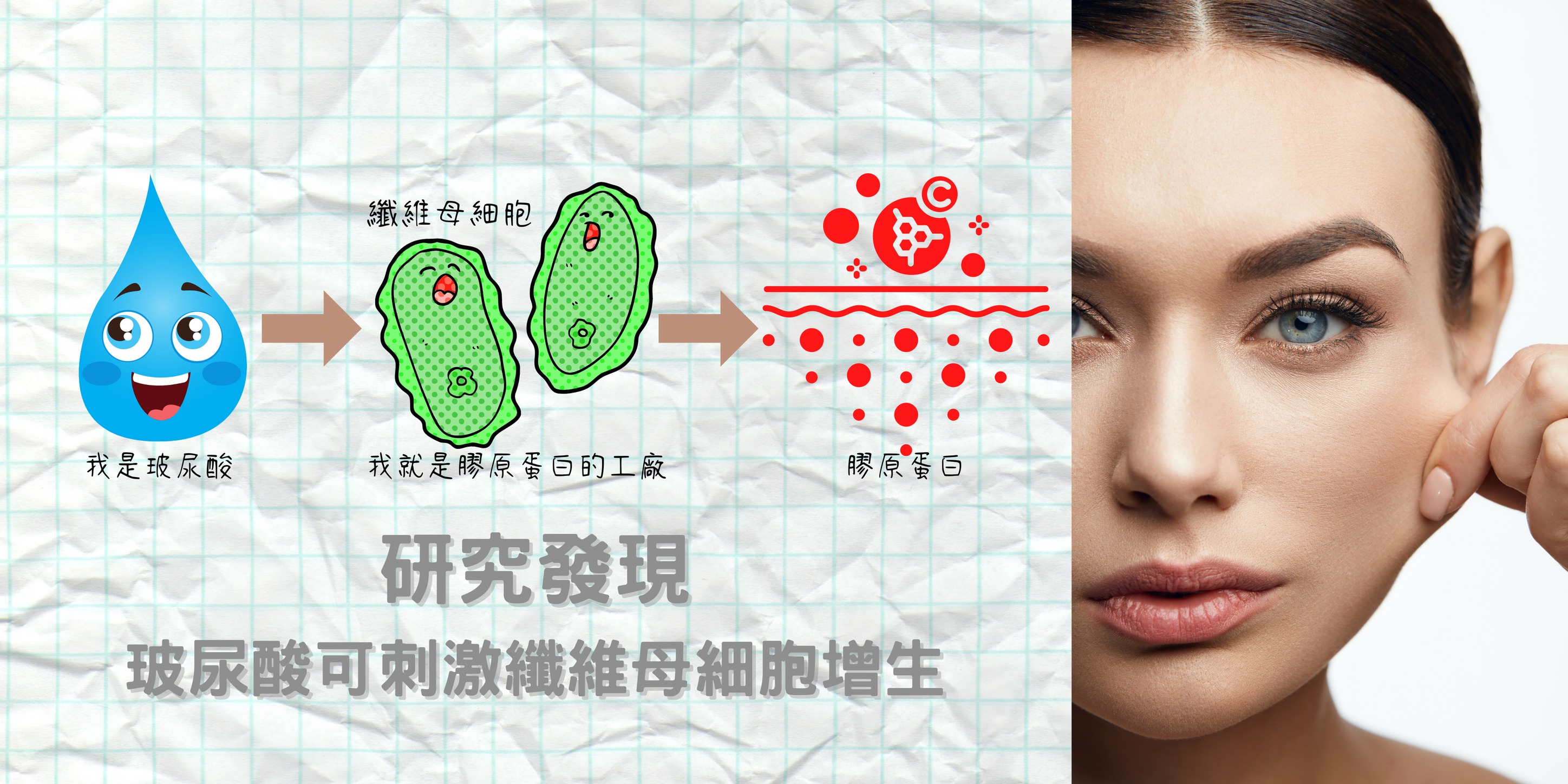 皮膚保養的真相 Part2🐰... - 美立固Vgbio 玻尿酸益生菌的專家 | Facebook