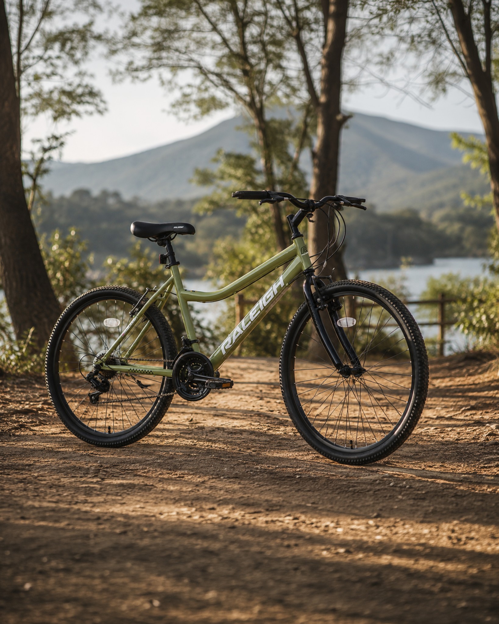 RALEIGH オリーブグリーン モッズコート ラリー ロック パンク RALEIGH