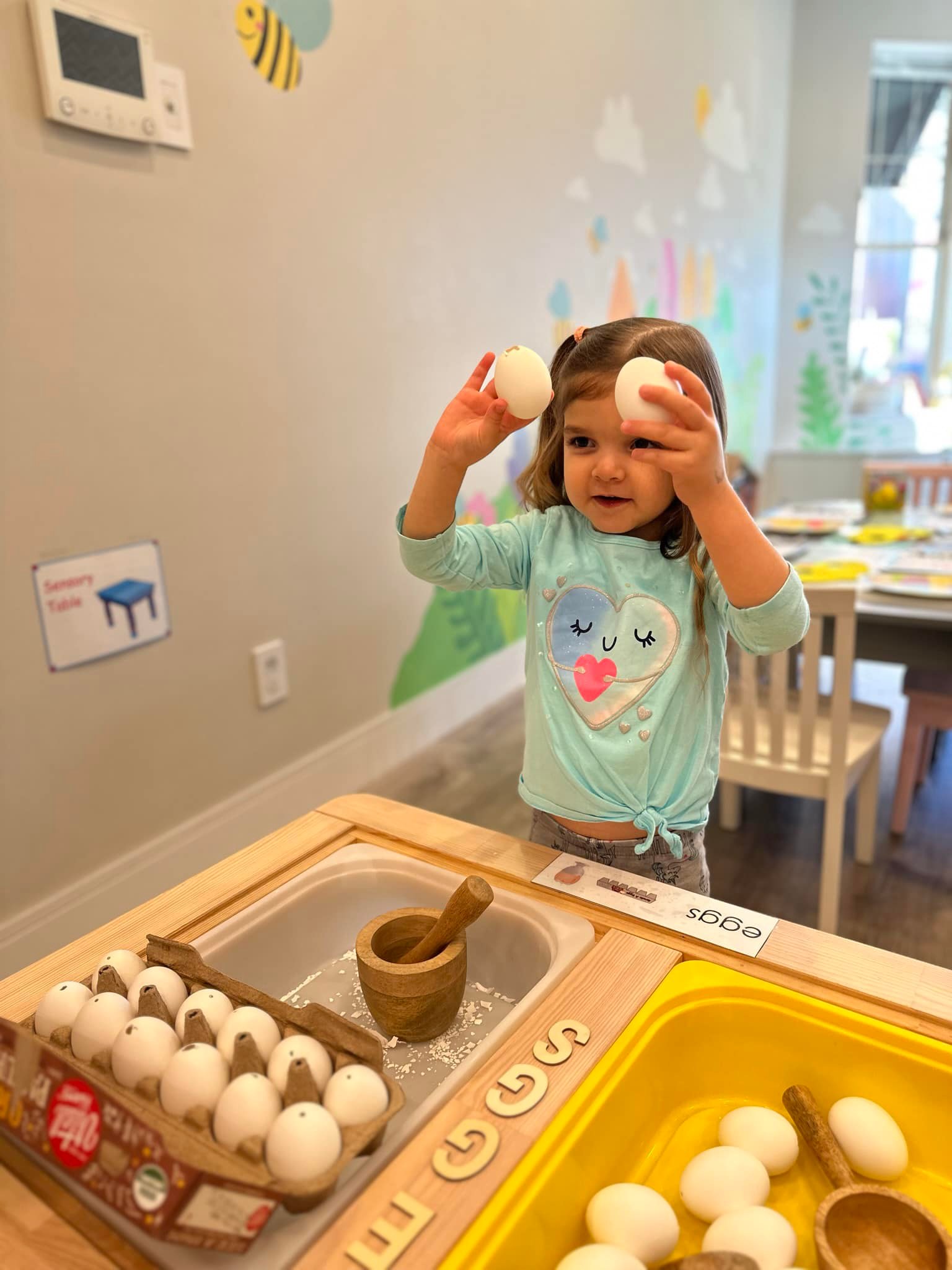 Little Bees Family Day... - Little Bees Family Day Care LLC