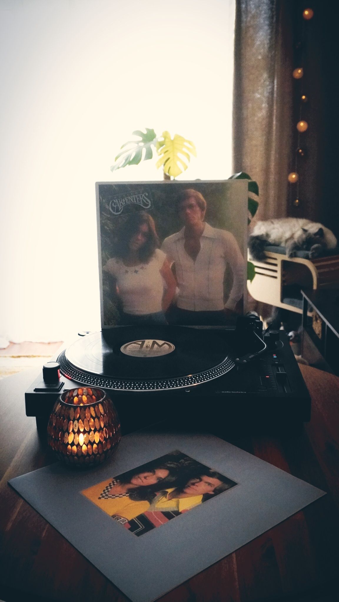 宝物♪今は幻の商品カーペンターズパンフレット THE CARPENTERS.
