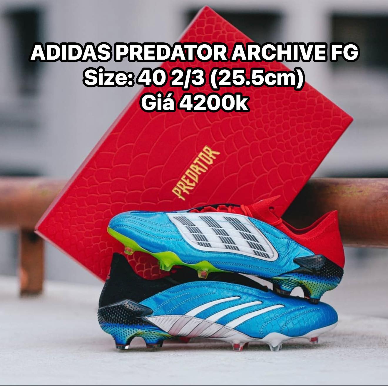 Shopp sẵn vài đôi Adidas Predator