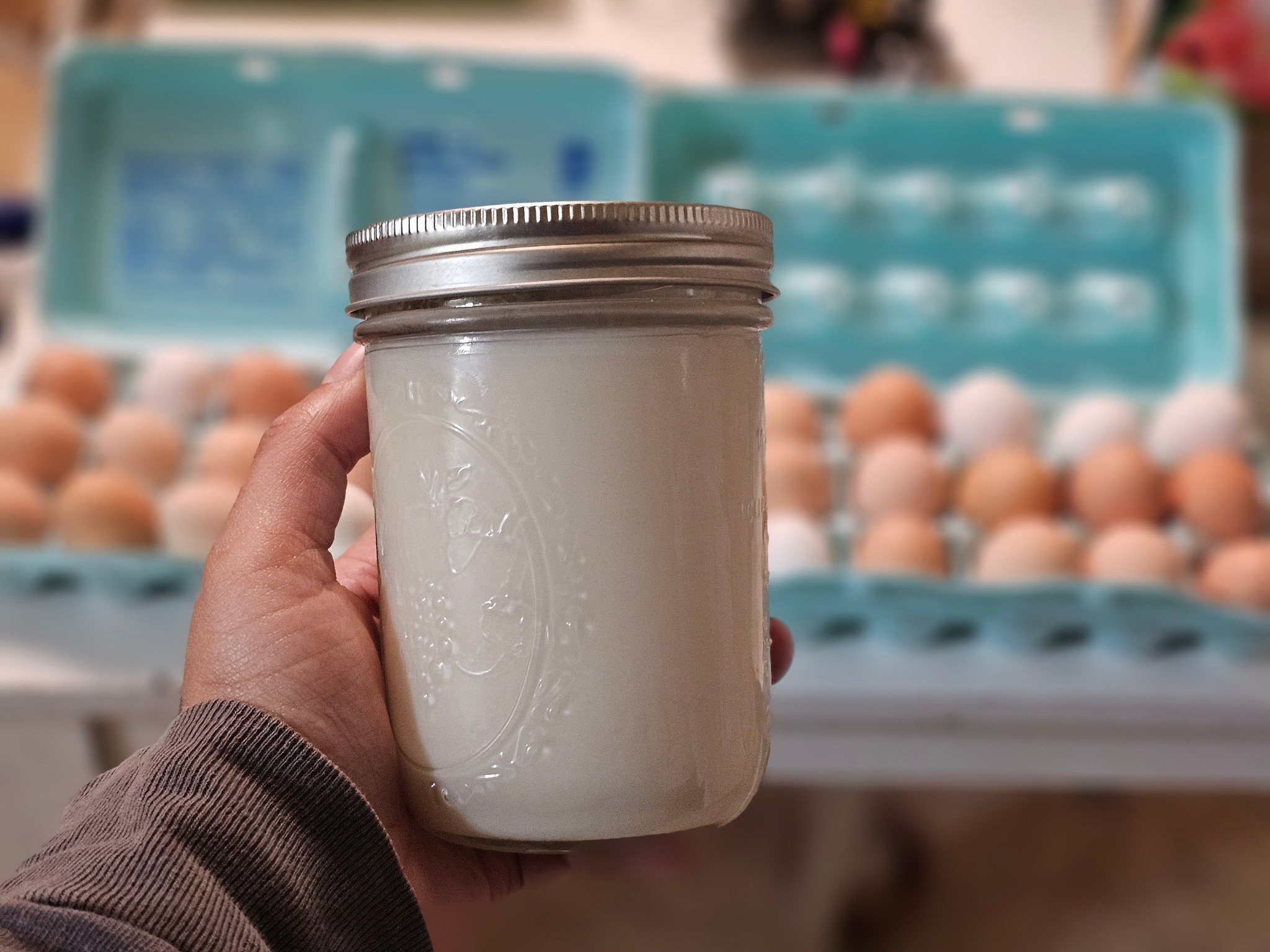 2-Pack 1 Gallon Glass Jars With Lids – For Water Glassing Eggs, Pickling, & Storage
