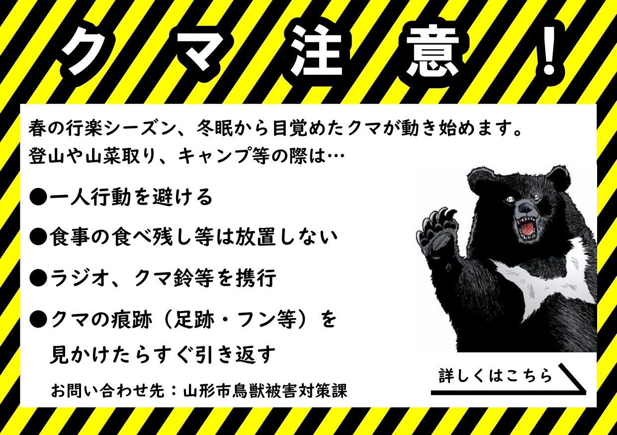 山形市役所 - 【春の行楽シーズンのクマに注意！】 鳥獣被害対策課です 