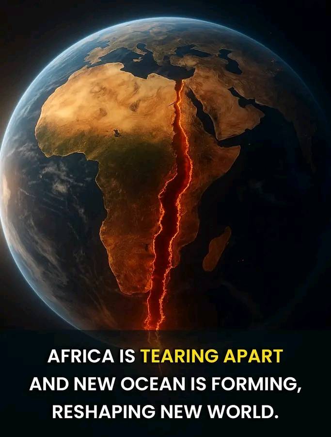 Expo - Africa is slowly splitting apart, the Great rift valley is ...