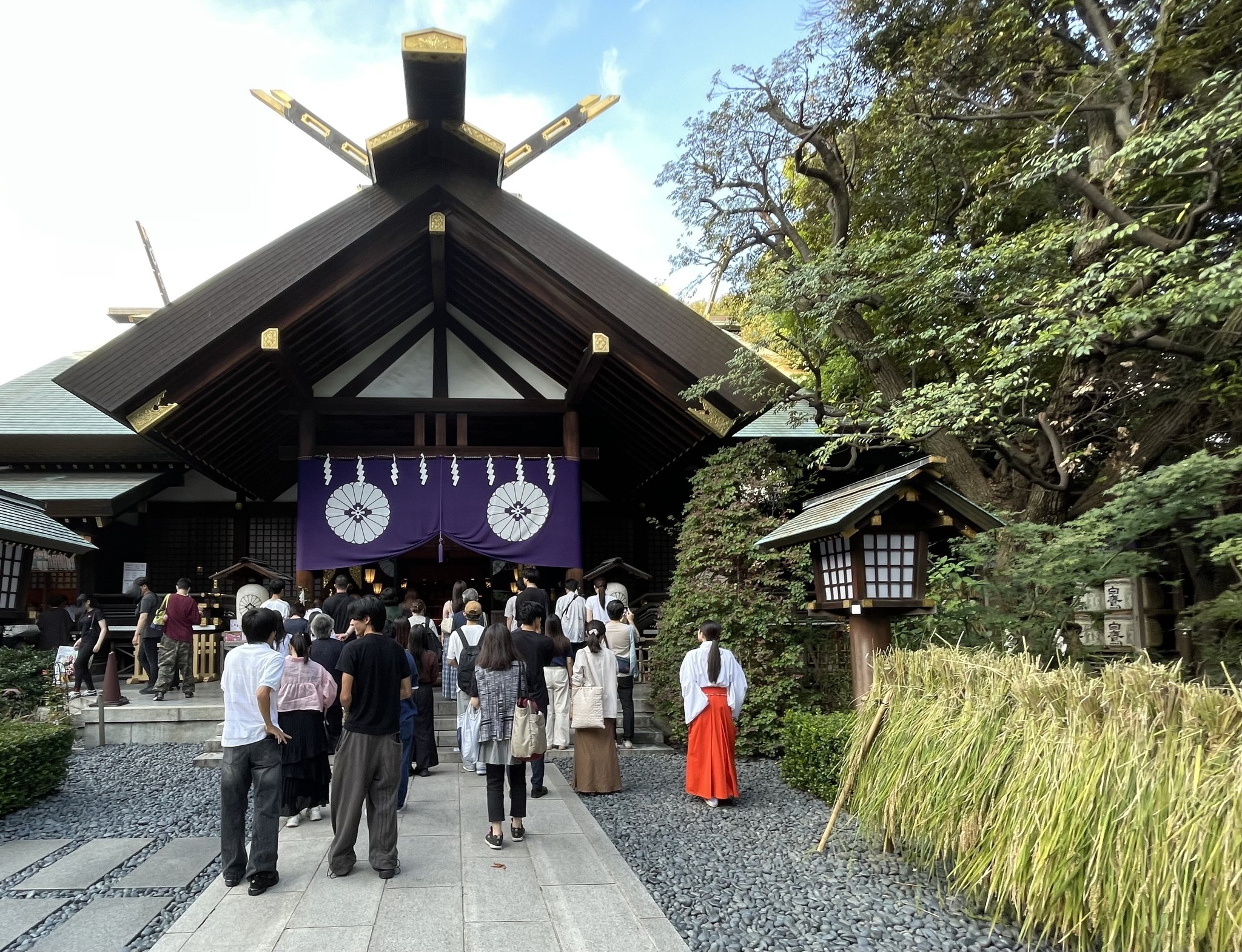 東京大神宮 - 本日、表千家の左海祥二郎宗匠のご奉仕による「献茶式