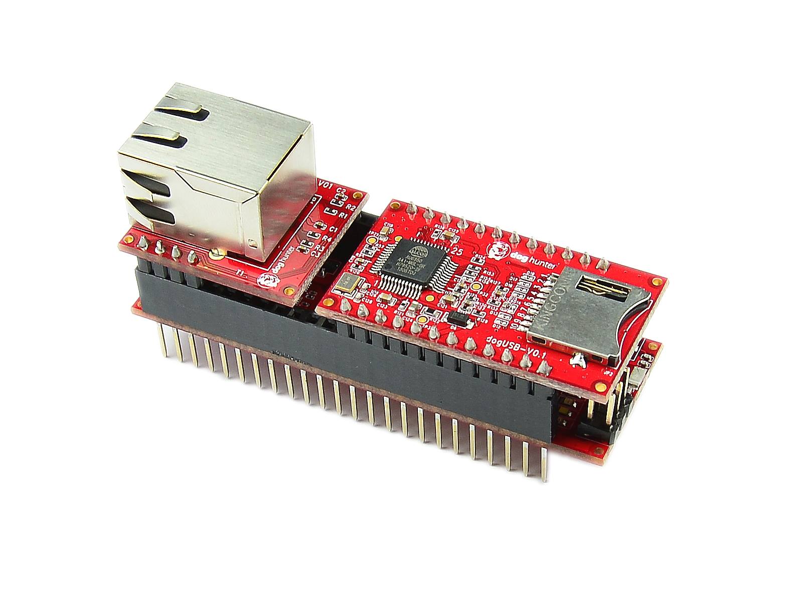 Arduino Woman | San Jose CA