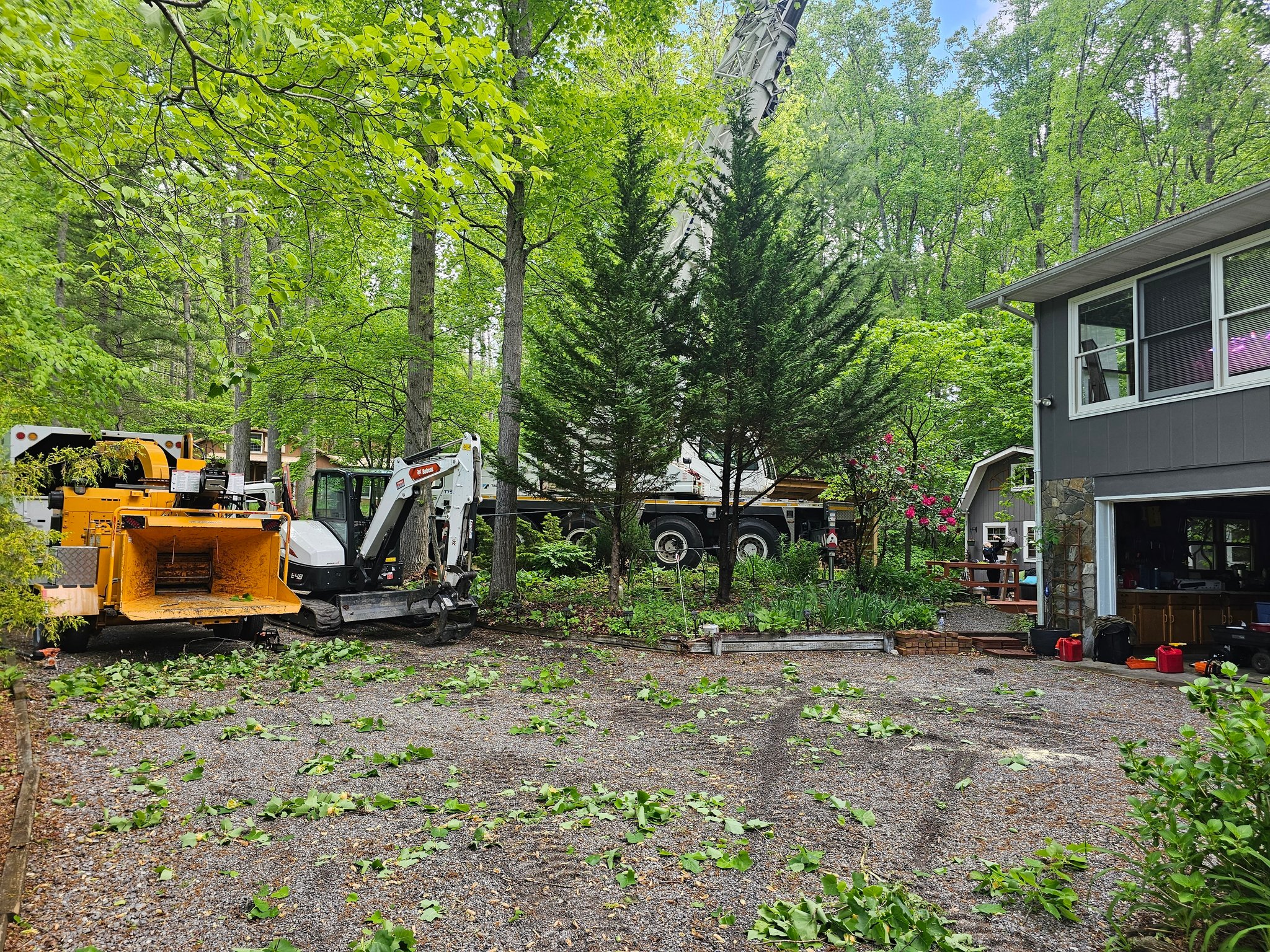 Top Notch Tree Care LLC