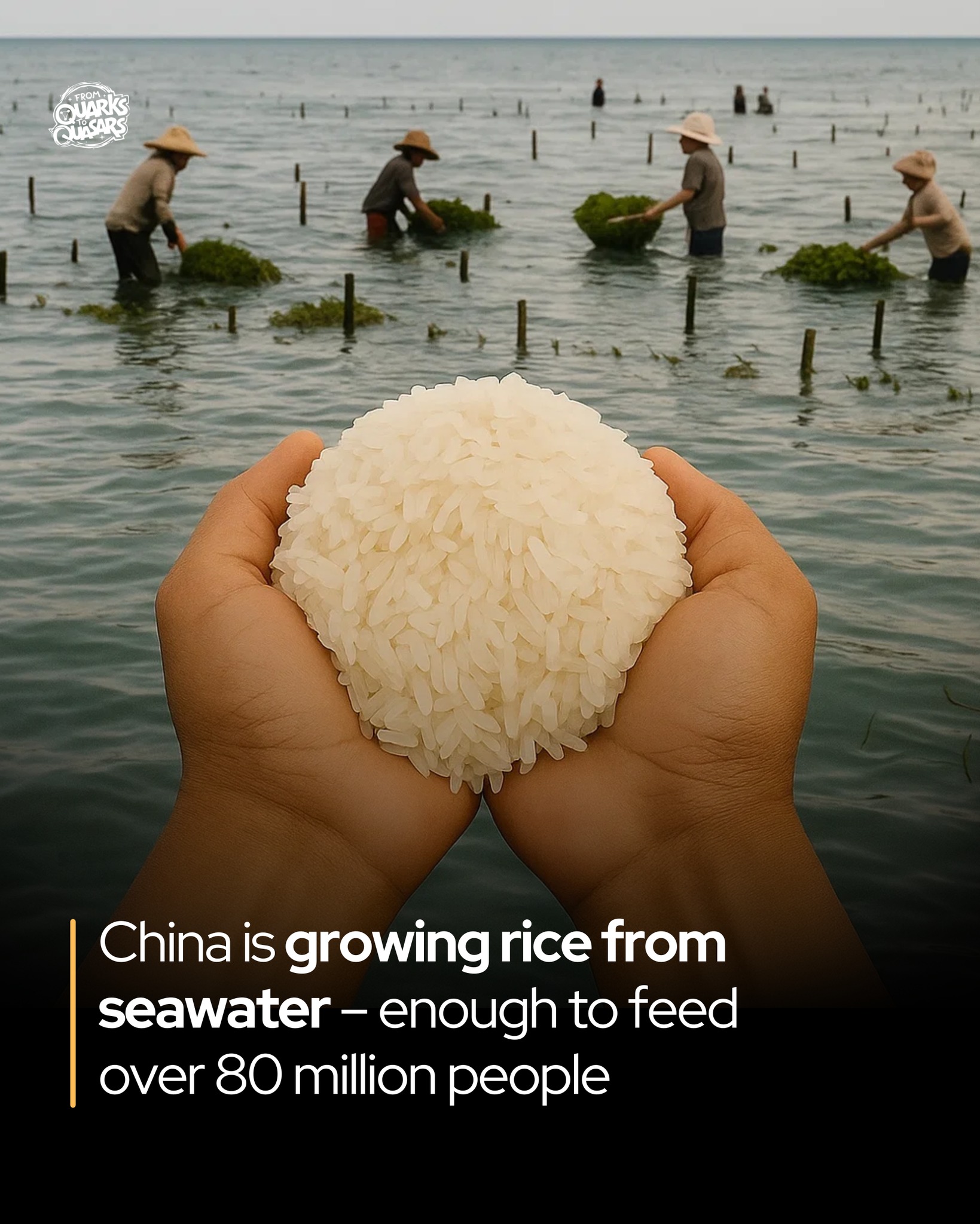 From - A new breakthrough in agriculture could feed more than 80 ...