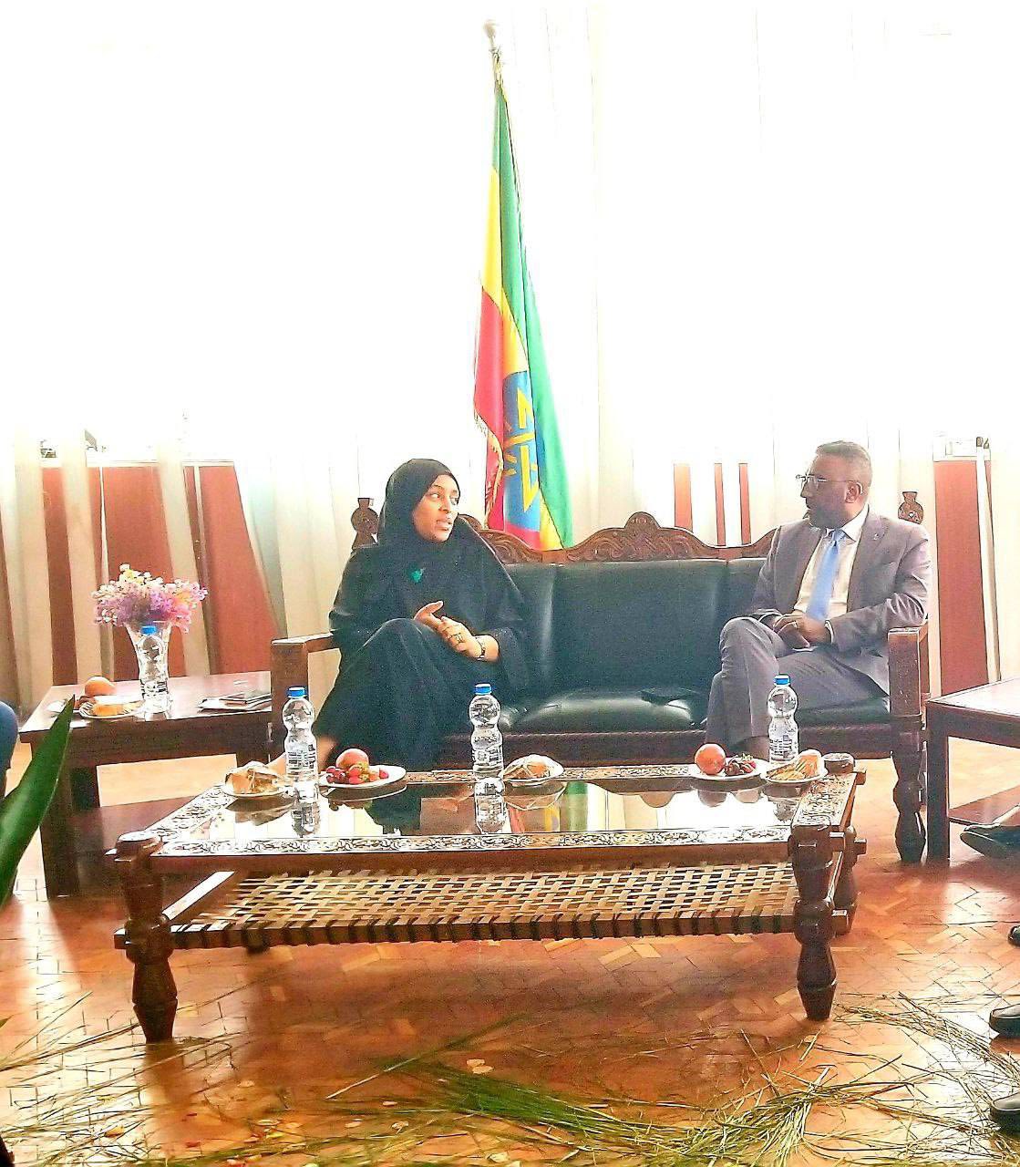 Federal First Instance Court Of Ethiopia