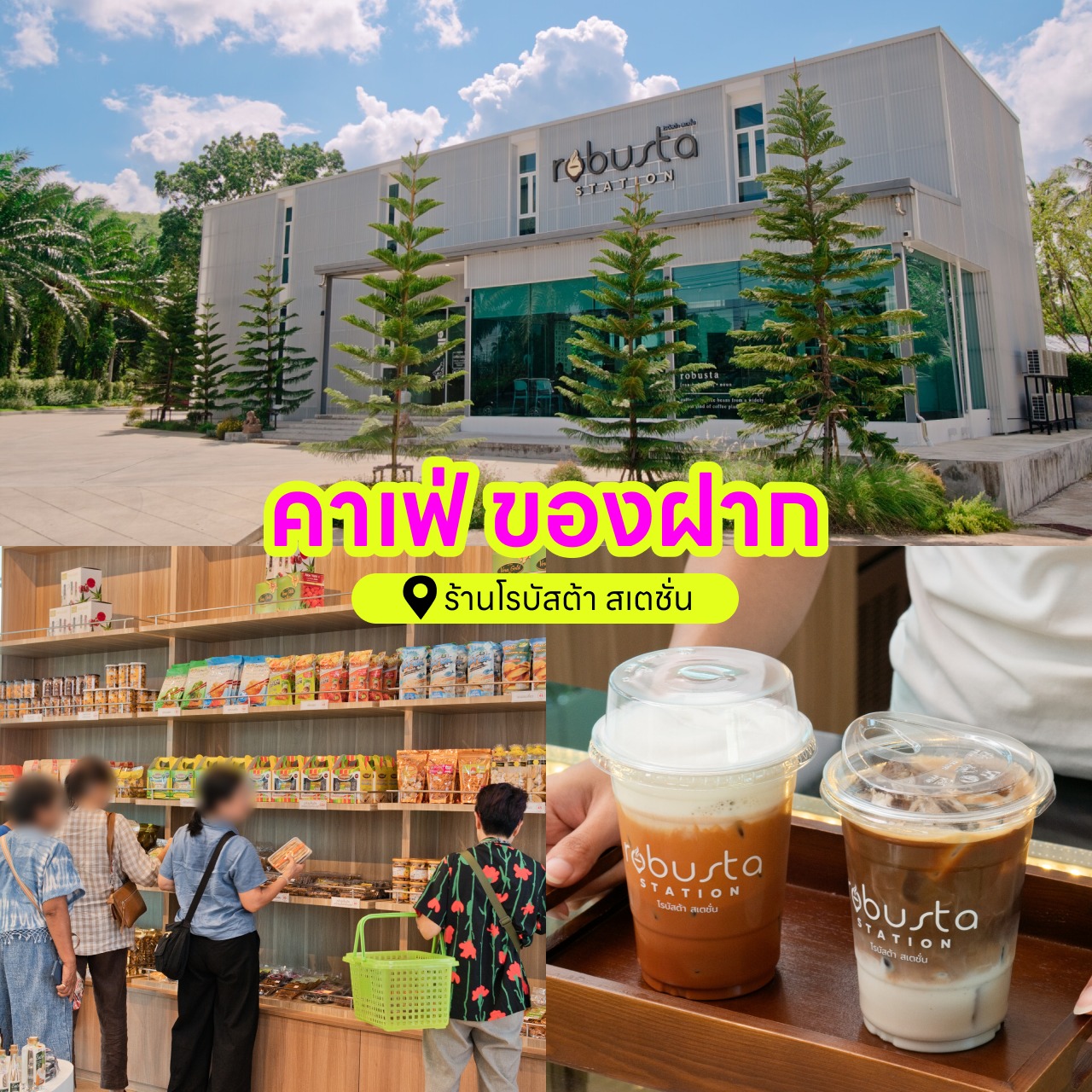 Robusta - 📍คอกาแฟห้ามพลาด แวะดื่มกาแฟสด ของว่างพร้อมเสิร์ฟ ซื้อของฝาก ...