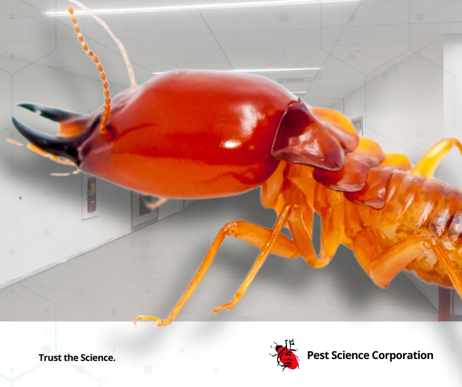 Pest Science... - Pest Science Corporation - Iloilo Branch