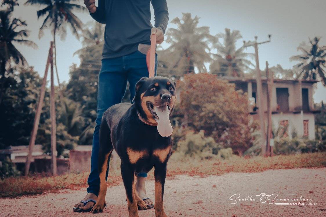 Senithu Samarasekara Photography | Facebook