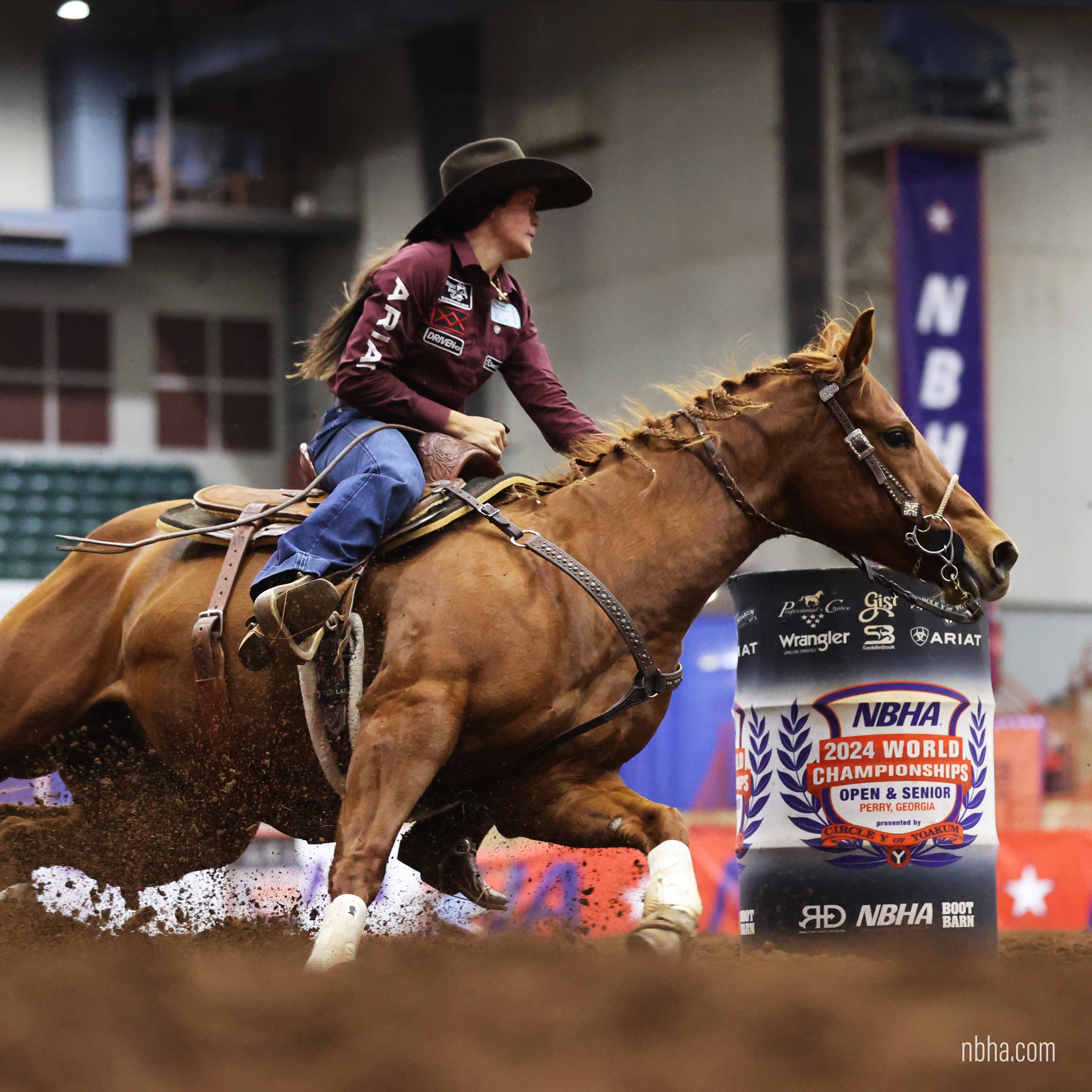 Official - Ariat’s name was inspired by Secretariat – the legendary ...