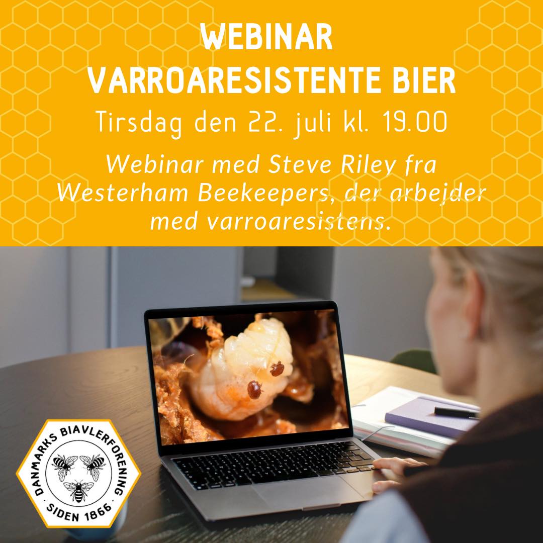 Danmarks - 🖥️🐝 Deltag i virkelig spændene webinar med Steve Riley fra ...