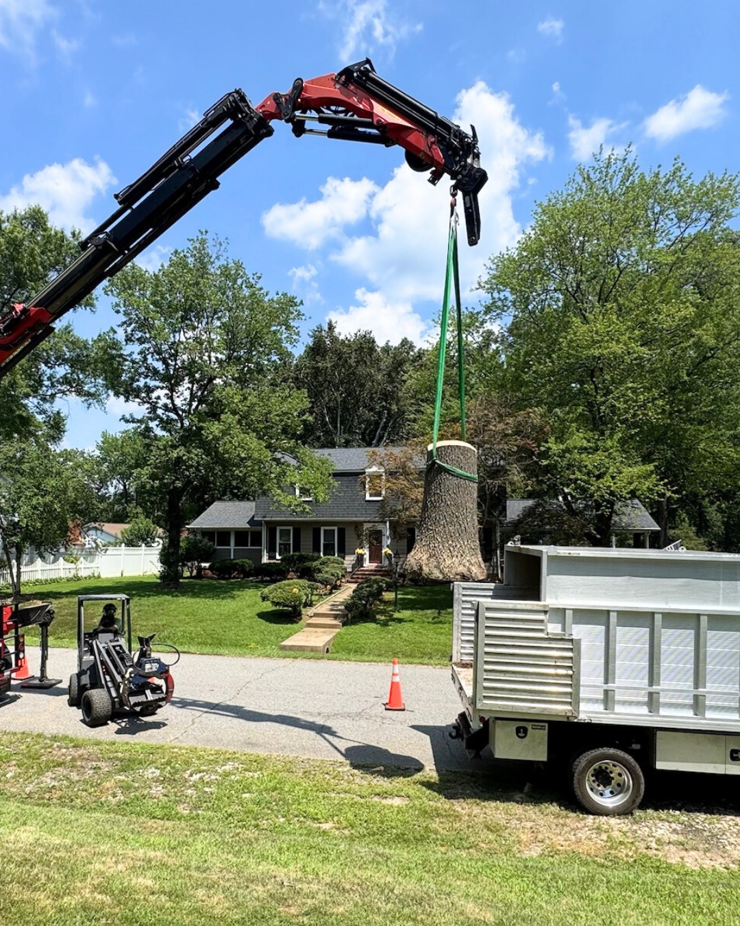 Branson's Tree Service | Fredericksburg VA