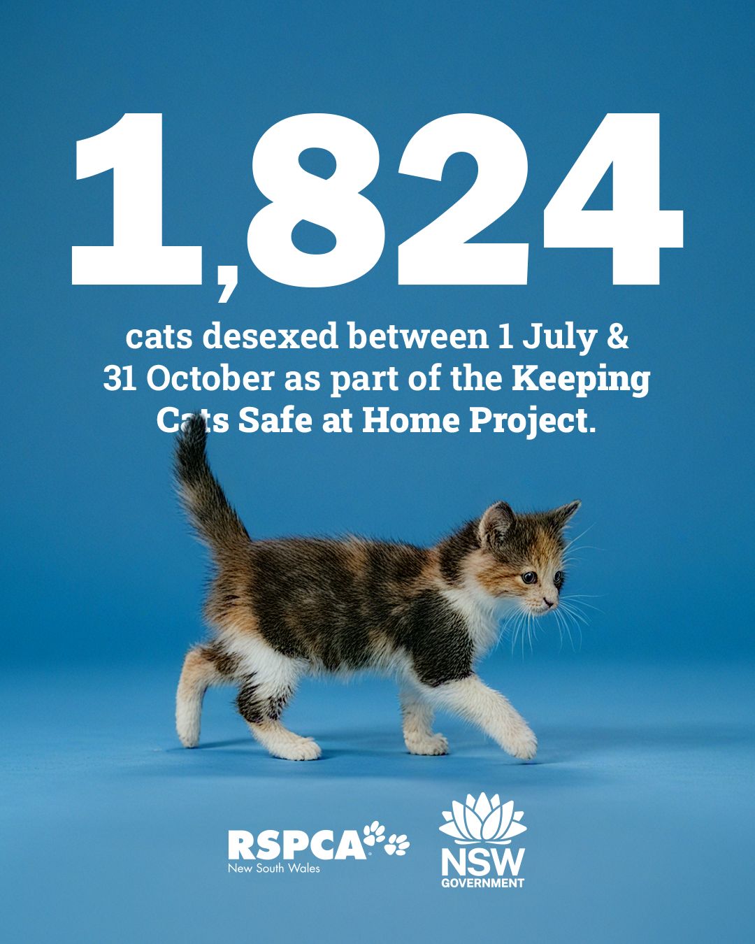 RSPCA NSW - RSPCA NSW added a new photo.