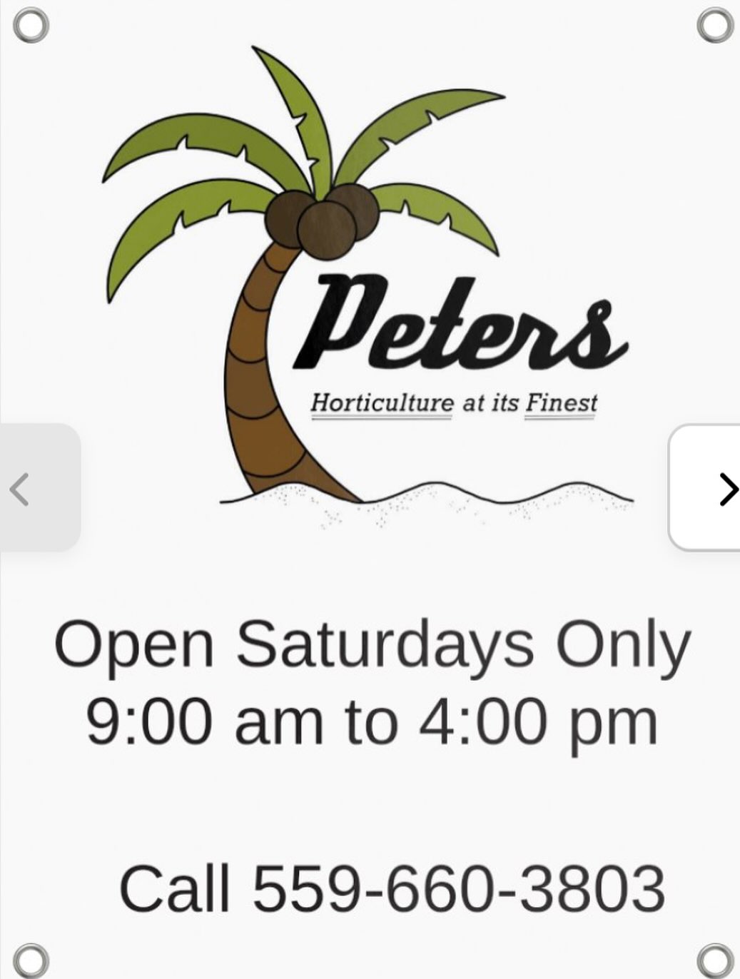 Peters Nursery &amp; Garden... - Peters Nursery &amp; Garden Center