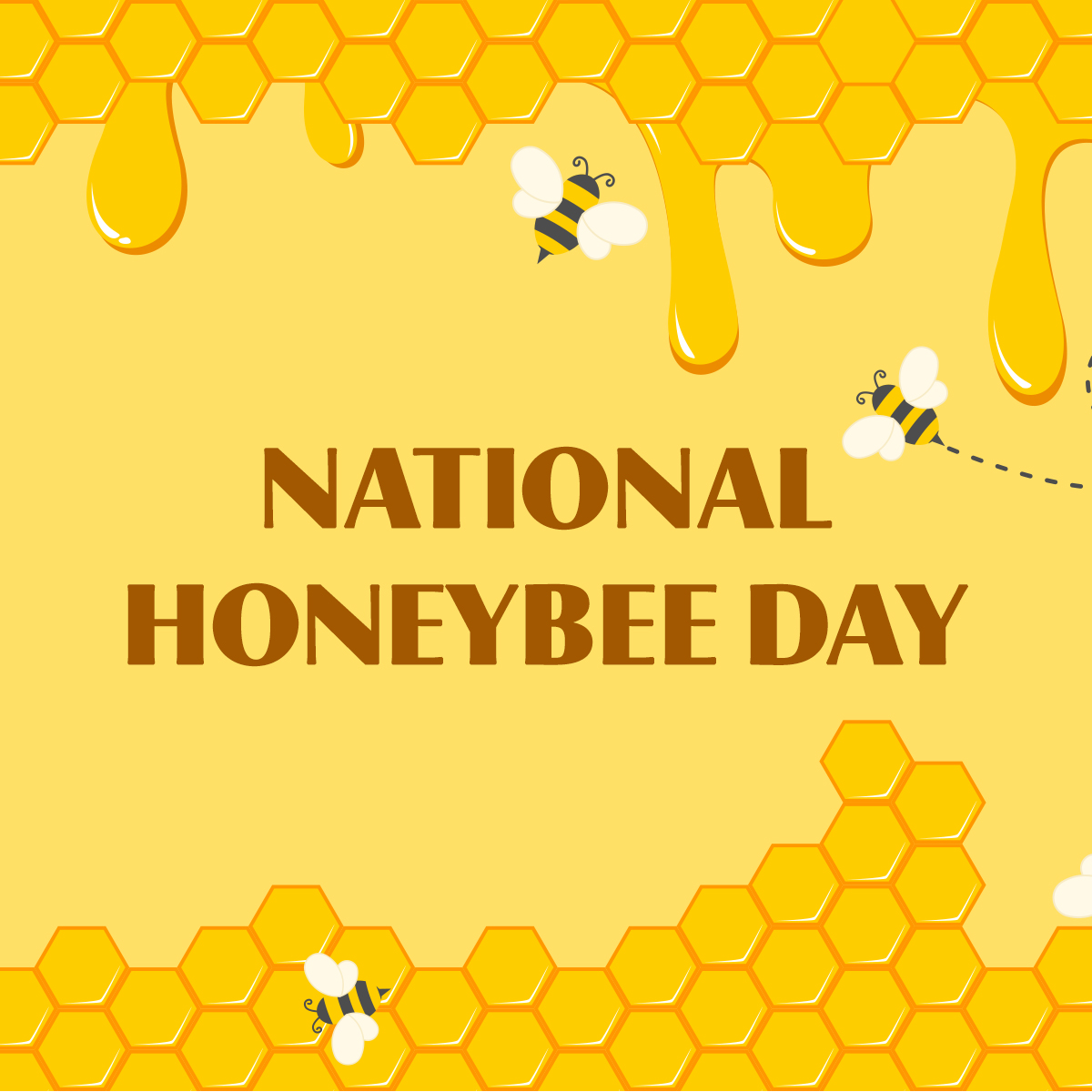 Tyler - Small but mighty, honeybees are the unsung heroes of our fields ...