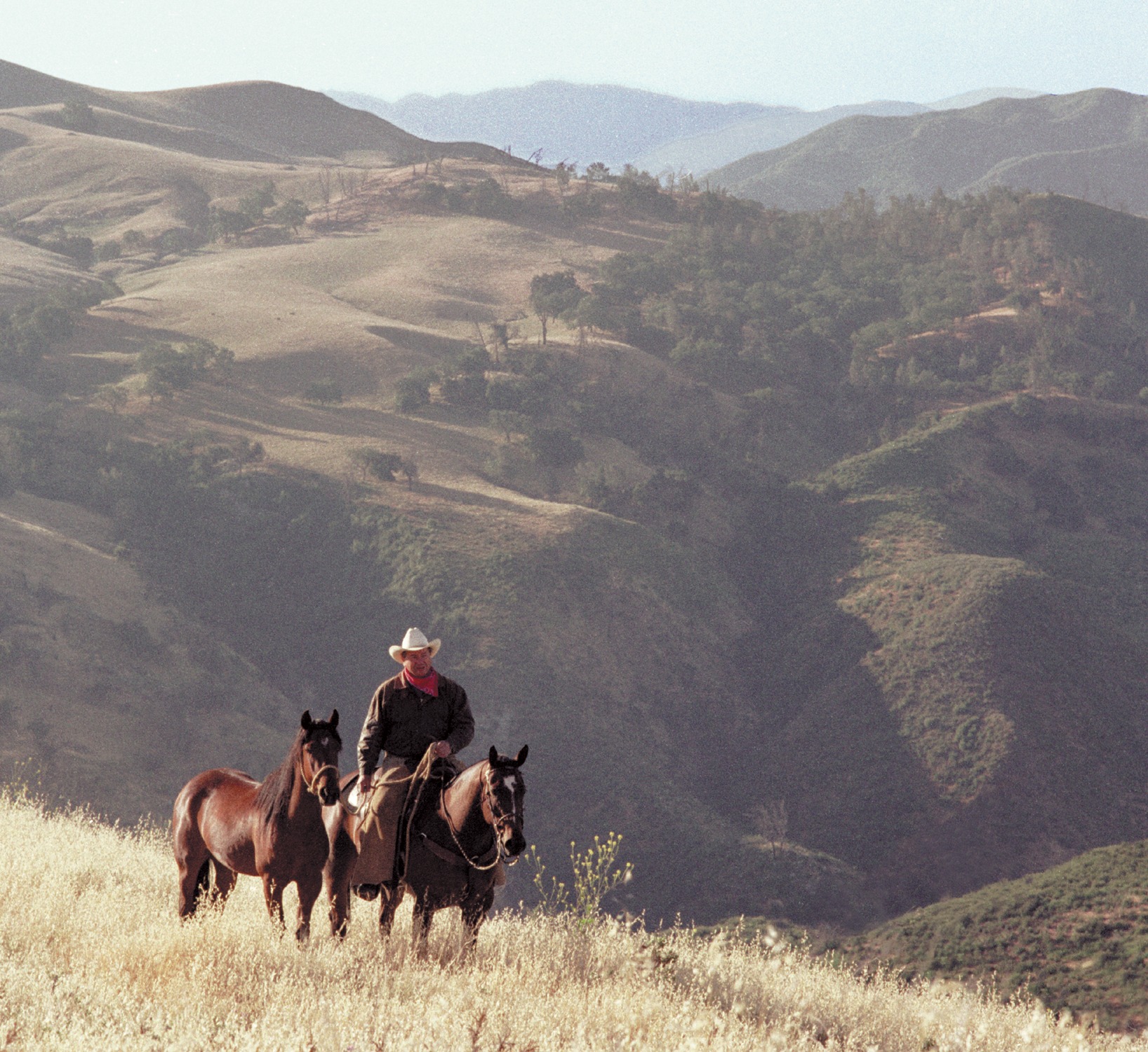 Monty Roberts - From the Wild to Willing Partners For... | Facebook