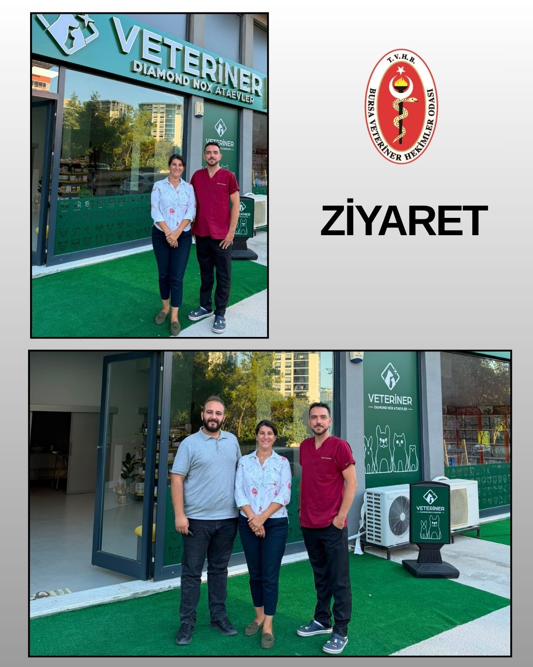 Bursa Veteriner... - Bursa Veteriner Hekimleri Odası