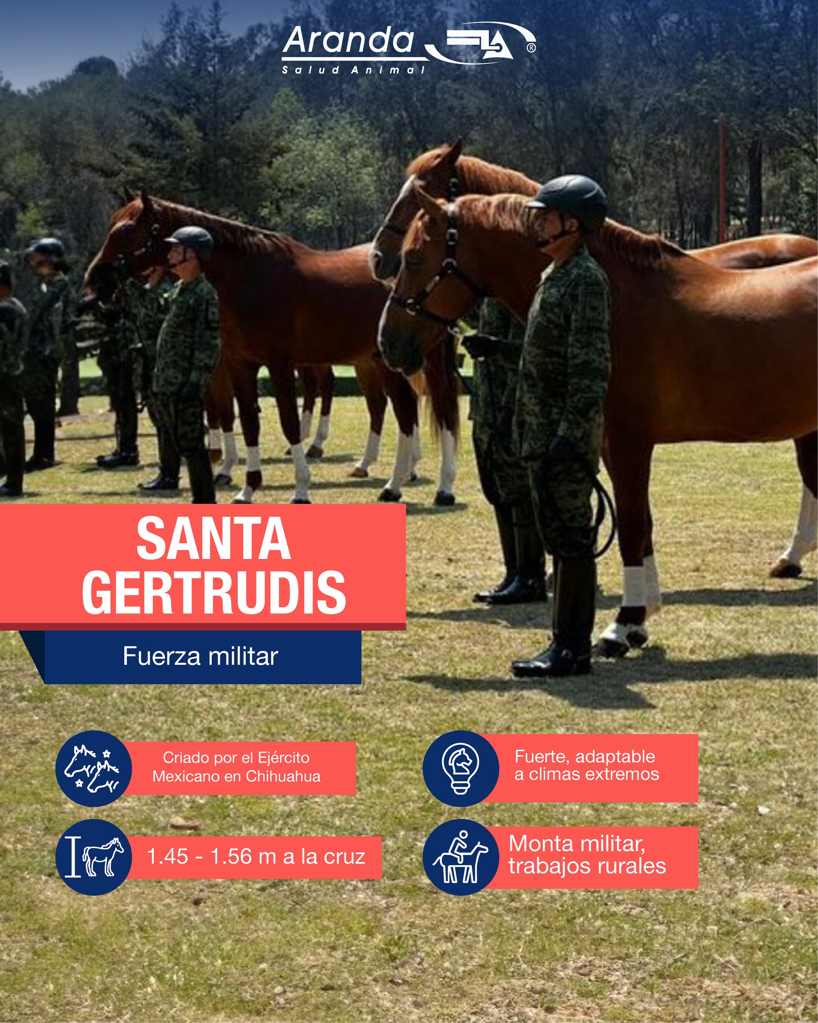 🐎 Conoce las razas de... - Laboratorios Aranda SA de CV | Facebook