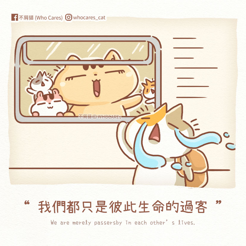 不屑貓(Who Cares) - 人生就像是一輛列車 有人上車、有人下車 我們都是彼此生命中的過客 .... | Facebook