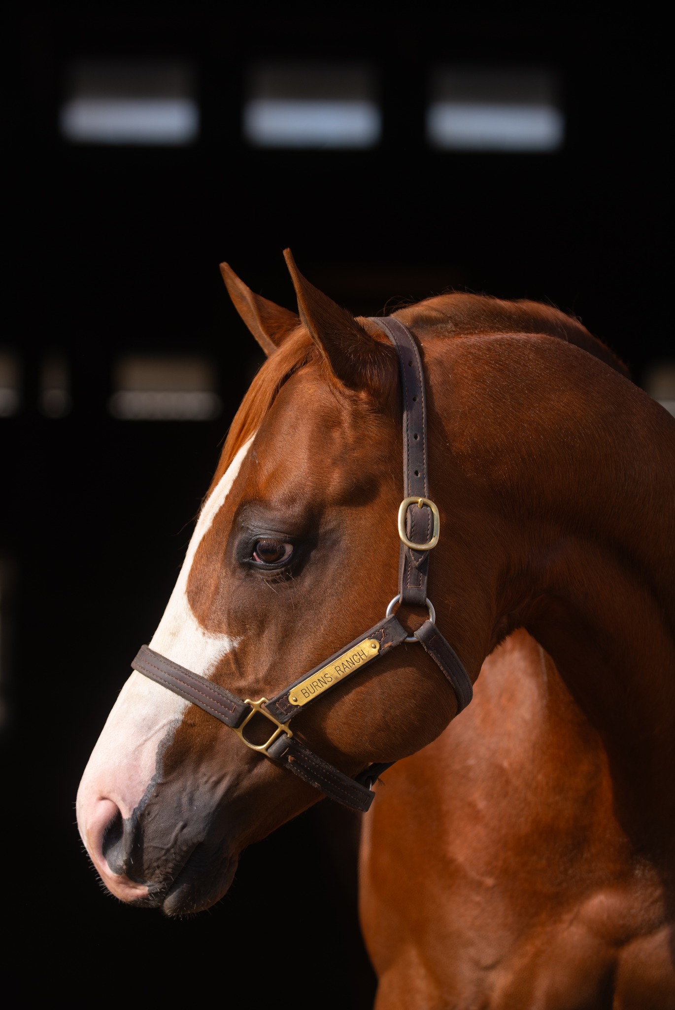 Burns Ranch Inc. | Menifee CA