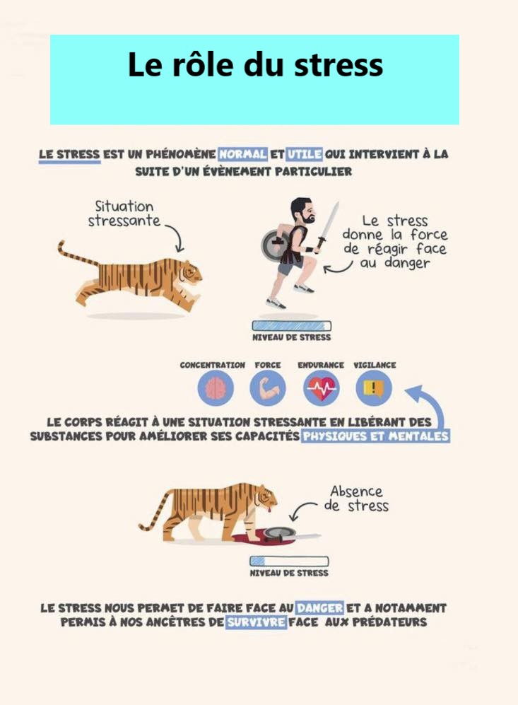Complément Alimentaire ReBloom OptiMum - Soutien émotionnel, Stress, Fatigue - 60 Gélules à Base De Plantes - Péremption 11/2027