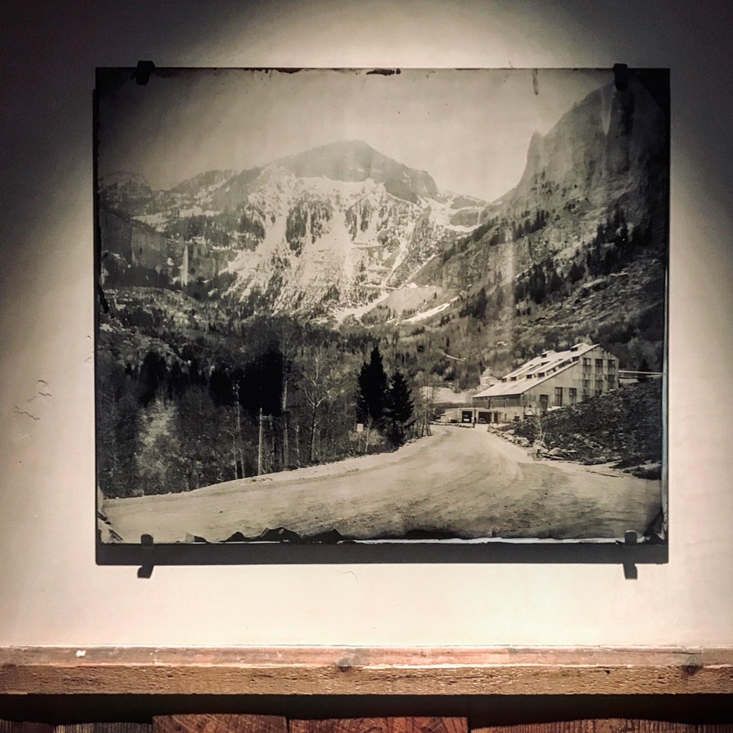 Collective Roots Design | Telluride CO