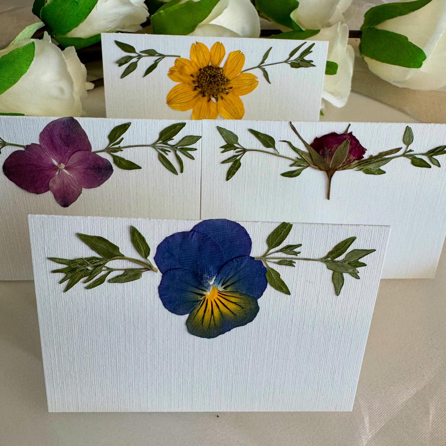 Patsy's Pressed Flowers
